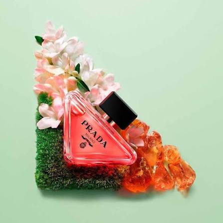 Prada paradoxe intense